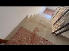 Triplice omicidio a Roma, la fuga del figlio ferito: le impronte nel palazzo e le tracce – Video
