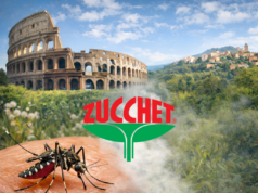 L’importanza della prevenzione contro le zanzare: il ruolo di Zucchet Service Srl ’importanza della prevenzione per le Zanzare