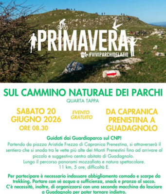 Castelli Romani, sul Cammino Naturale dei Parchi Castelli Romani cammino naturale dei parchi
