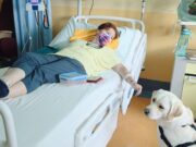 In Veneto prima chemio con cagnolina (Joy) al letto della paziente