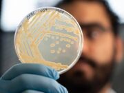 Mappato il microbioma di Ötzi l’uomo dei ghiacci. La scoperta: super lieviti resistenti al freddo, primo test il pane