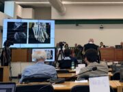 Regeni, il pm: “Corpo di Giulio spezzato dal dolore, Egitto ha protetto gli aguzzini”