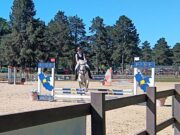 Rocca di Papa, giornata di sport e divertimento ai Pratoni con l’iniziativa “I Castelli a Cavallo” rocca di papa equitazione