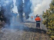 Cecchina, vasto incendio in un campo agricolo, coinvolto anche un vigneto: al lavoro le Protezioni Civili di Albano, Ariccia, Genzano e i Vigili del Fuoco di Marino per diverse ore cecchina vasto incendio