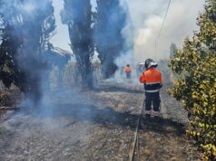 Cecchina, vasto incendio in un campo agricolo, coinvolto anche un vigneto: al lavoro le Protezioni Civili di Albano, Ariccia, Genzano e i Vigili del Fuoco di Marino per diverse ore cecchina vasto incendio