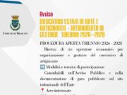 Frascati, nuovo bando per la gestione del Mercatino Estivo: in gara il triennio 2026-2028 frascati bando mercatino estivo