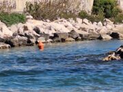 Nettuno, posizionate le boe di segnalazione di pericolo sulla spiaggia dello sport nettuno boe segnaletiche