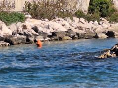 Nettuno, posizionate le boe di segnalazione di pericolo sulla spiaggia dello sport nettuno boe segnaletiche