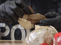 Tor Bella Monaca, carico di hashish “in entrata” bloccato dalla Polizia di Stato: 2 arresti, oltre 51 kg di droga sequestrati e neutralizzata fuga sui tetti in stile parkour Roma Polizia di Stato
