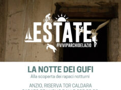 Anzio, “La Notte dei Gufi” alla Riserva Naturale sul Mare di Tor Caldara Dalle ore 20:00 di sabato 15 Luglio anzio tor caldara escursione