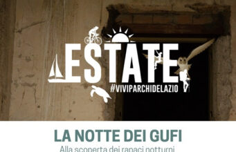 Anzio, “La Notte dei Gufi” alla Riserva Naturale sul Mare di Tor Caldara Dalle ore 20:00 di sabato 15 Luglio anzio tor caldara escursione