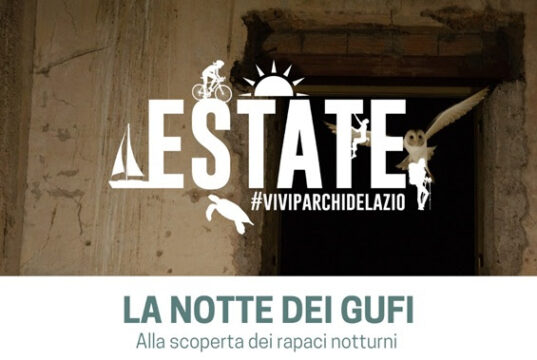 Anzio, “La Notte dei Gufi” alla Riserva Naturale sul Mare di Tor Caldara Dalle ore 20:00 di sabato 15 Luglio anzio tor caldara escursione