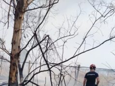 Aprilia, devastante incendio in una zona rurale agricola: al lavoro per molte ore ieri pomeriggio e sera Protezione Civile e Vigili del Fuoco aprilia incendio