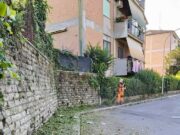 Genzano, il sindaco Fabio Papalia: “Interventi in diverse zone del paese per ripristinare le aree impraticabili” genzano decoro