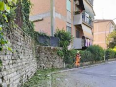 Genzano, il sindaco Fabio Papalia: “Interventi in diverse zone del paese per ripristinare le aree impraticabili” genzano decoro