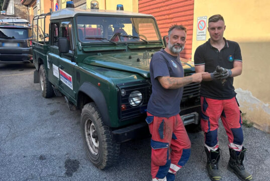 Genzano, due volontari della Protezione Civile soccorrono volatile traumatizzato su un albero genzano rapace