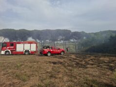 Nettuno, incendio doloso in più punti al bosco di Padiglione Campana: molte ore di lavoro per i Vigili del Fuoco e la Protezione Civile nettuno incendio
