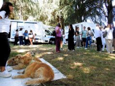 Rocca di Papa, partecipazione e interesse alla giornata di prevenzione “Salute in Movimento – Vicino a Te” organizzata dalla Asl Roma 6 al Parco dei Campi D’Annibale rocca di papa asl roma 6 giornata prevenzione