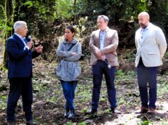 Monte Tuscolo, presentato il lavoro di scavo e pulizia dell’area archeologica operato dalla Scuola Spagnola di Archeologia tuscolo lavoro scavo