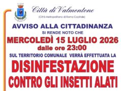 Valmontone, disinfestazione contro gli insetti alati nella notte del 15 luglio: le zone interessate valmontone disinfestazione