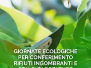 Zagarolo, proseguono le giornate ecologiche estive per ingombranti e sfalci: ecco il calendario zagarolo giornate cologiche